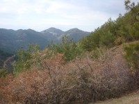 DSC08266