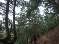 DSC08277