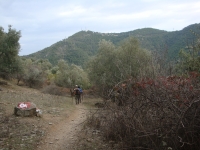 DSC08284