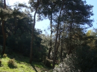 DSC08116
