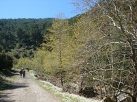 DSC08124