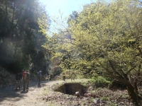 DSC08127
