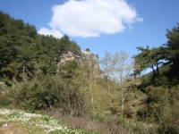 DSC08130