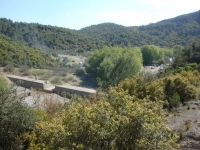 DSC08157
