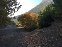 img_0515