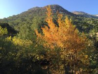 img_0518
