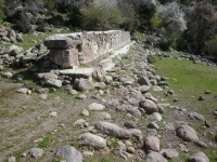 DSC00751