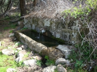 DSC00765