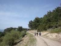 DSC00785