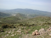 DSC00788