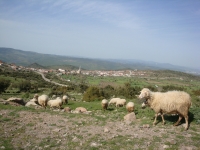 DSC00792