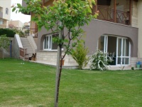DSC00534