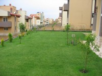 meyvalarimiz-024