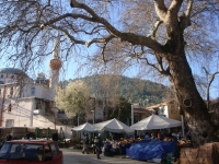 DSC00623
