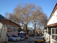 DSC00624