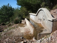 DSC00647