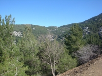 DSC00663