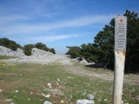 DSC00698