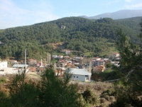 DSC00730