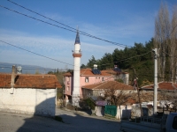 DSC00732