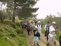 13nisan20084