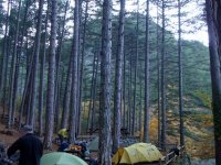 DSC00218