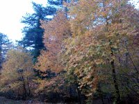 DSC00243