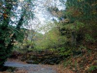 DSC00244