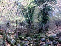 DSC00245