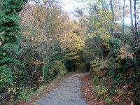 DSC00248