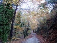 DSC00250