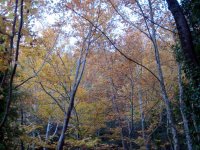DSC00251