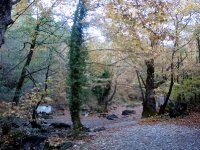DSC00252