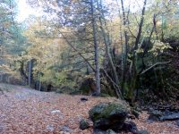 DSC00260