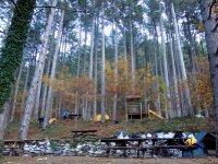 DSC00266