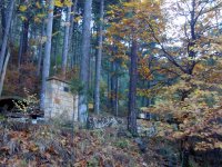 DSC00270