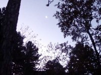 DSC00294