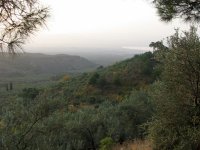 Kaz Dağı