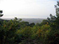 Kaz Dağı