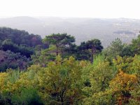 Kaz Dağı