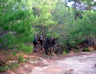 Kaz Dağı
