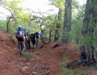 Kaz Dağı