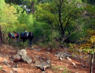 Kaz Dağı