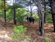 Kaz Dağı