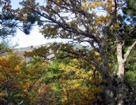 Kaz Dağı