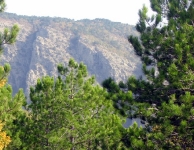 Kaz Dağı