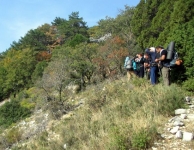 Kaz Dağı