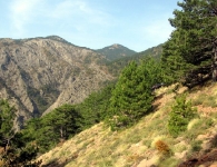 Kaz Dağı