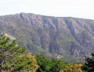Kaz Dağı