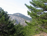 Kaz Dağı